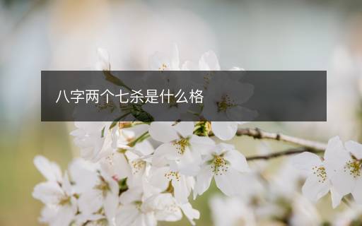 八字兩個七殺是什么格