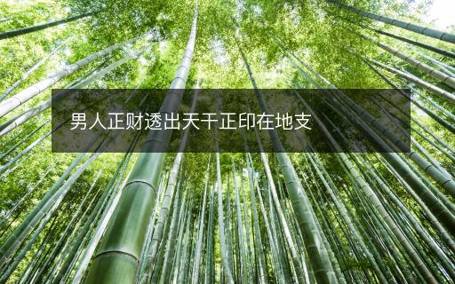 男人正財透出天干正印在地支