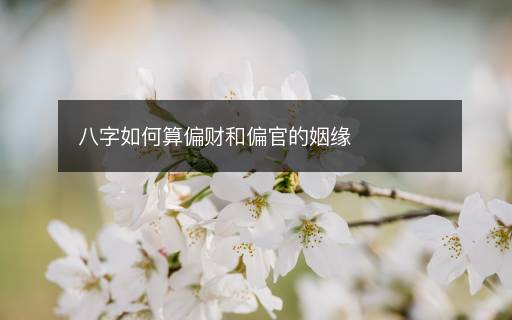 八字如何算偏財(cái)和偏官的姻緣