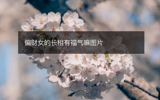 偏財(cái)女的長(zhǎng)相有福氣嘛圖片