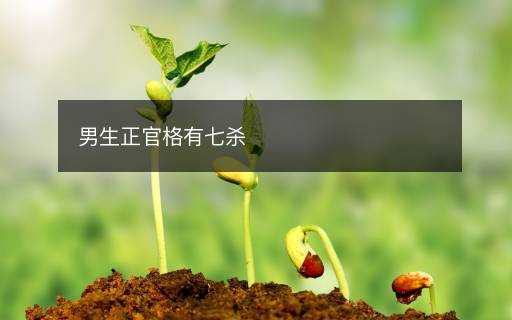 男生正官格有七殺