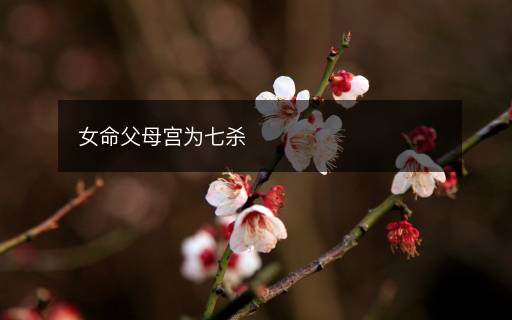 女命父母宮為七殺