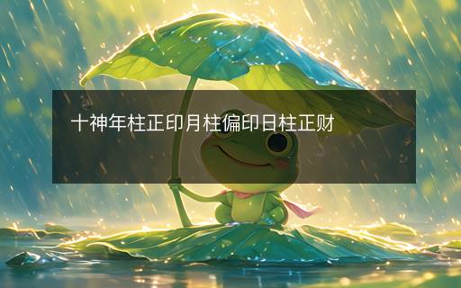 十神年柱正印月柱偏印日柱正財