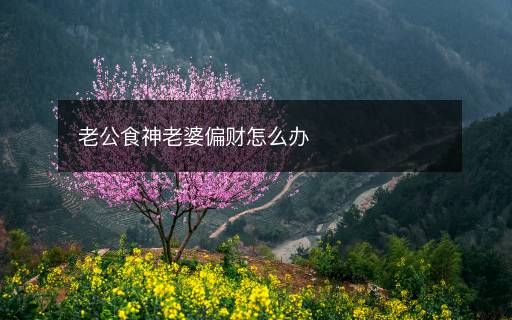 老公食神老婆偏財怎么辦
