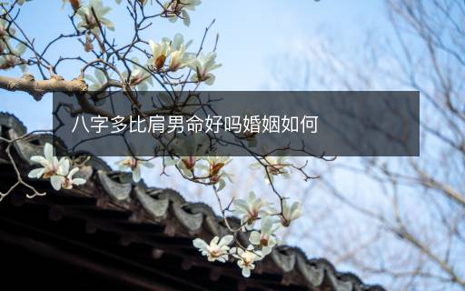 八字多比肩男命好嗎婚姻如何