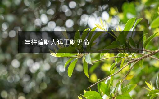 年柱偏財大運正財男命