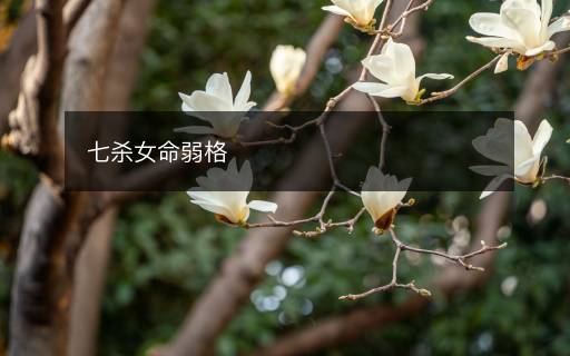 七殺女命弱格