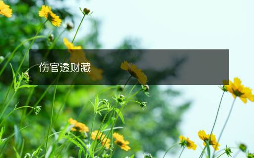 傷官透財藏