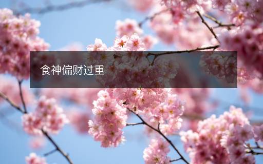 食神偏財過重