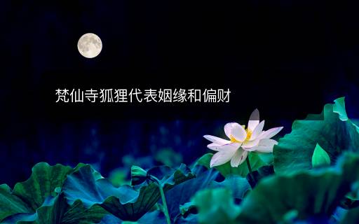 梵仙寺狐貍代表姻緣和偏財(cái)