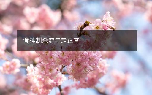 食神制殺流年走正官