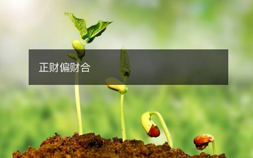 正財偏財合