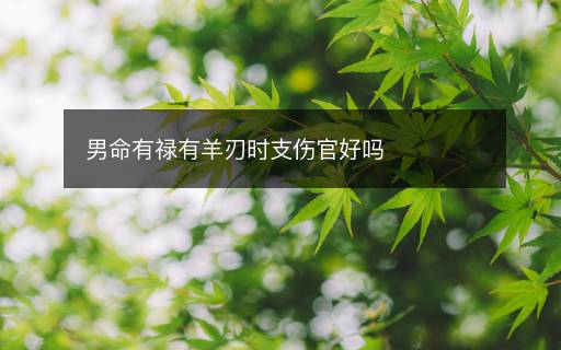 男命有祿有羊刃時(shí)支傷官好嗎