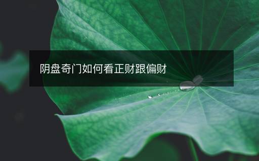 陰盤奇門如何看正財(cái)跟偏財(cái)