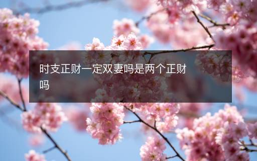 時(shí)支正財(cái)一定雙妻嗎是兩個(gè)正財(cái)嗎