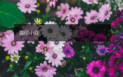 偏印小眾