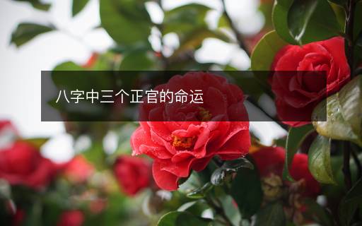 八字中三個(gè)正官的命運(yùn)