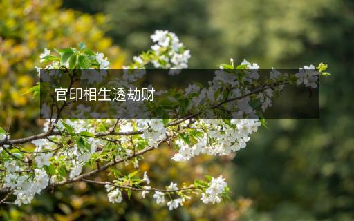 官印相生透劫財