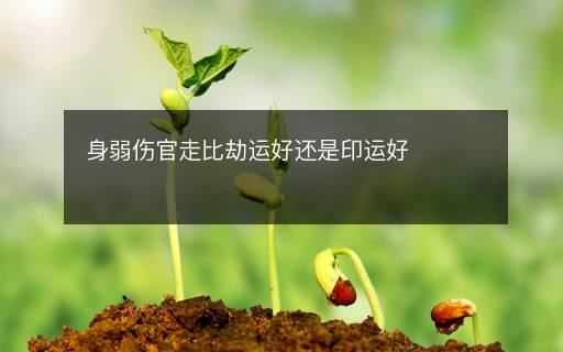 身弱傷官走比劫運(yùn)好還是印運(yùn)好