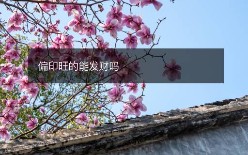 偏印旺的能發(fā)財(cái)嗎
