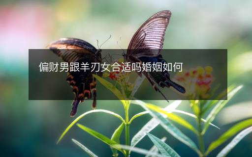 偏財(cái)男跟羊刃女合適嗎婚姻如何