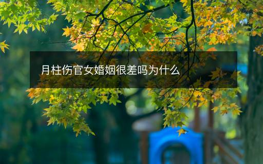 月柱傷官女婚姻很差嗎為什么