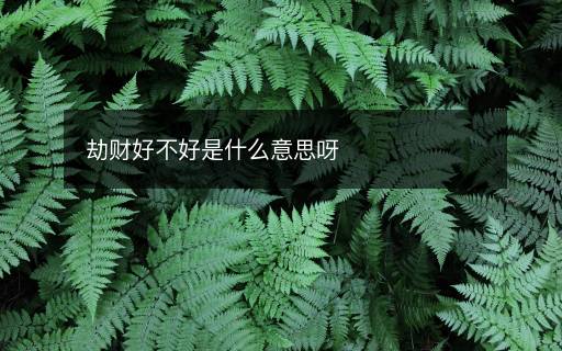 劫財好不好是什么意思呀