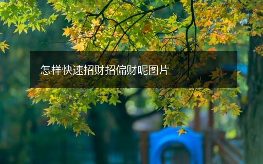 怎樣快速招財招偏財呢圖片