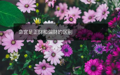 命宮是正財(cái)和偏財(cái)?shù)膮^(qū)別
