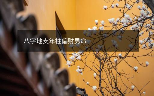 八字地支年柱偏財男命