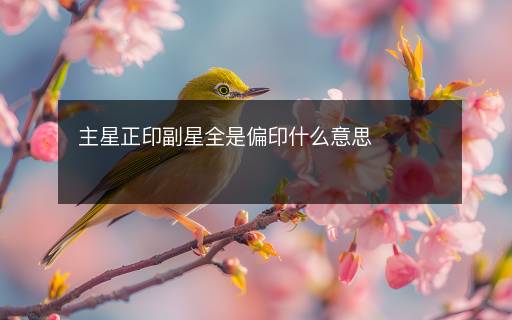 主星正印副星全是偏印什么意思