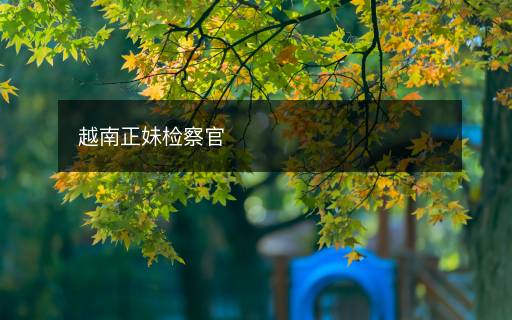越南正妹檢察官