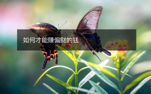 如何才能賺偏財?shù)腻X