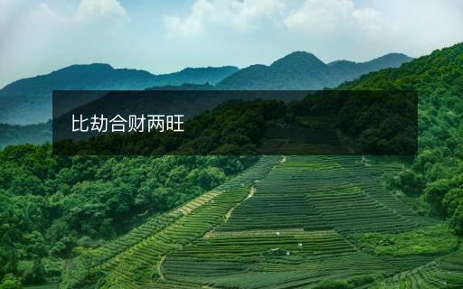 比劫合財(cái)兩旺