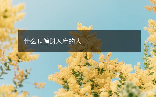 什么叫偏財(cái)入庫的人