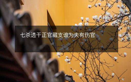 七殺透干正官藏支誰為夫有傷官