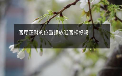 客廳正財(cái)?shù)奈恢脭[放迎客松好嗎