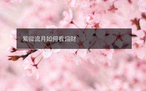 紫微流月如何看偏財(cái)