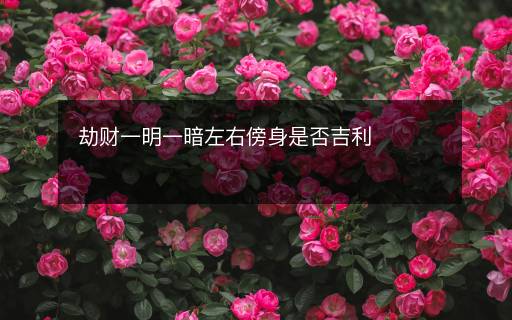 劫財(cái)一明一暗左右傍身是否吉利