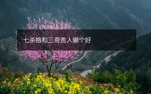七殺格和三奇貴人哪個好