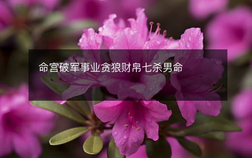 命宮破軍事業(yè)貪狼財(cái)帛七殺男命