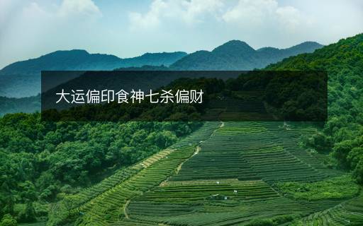 大運(yùn)偏印食神七殺偏財(cái)