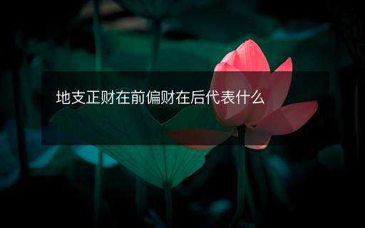 地支正財(cái)在前偏財(cái)在后代表什么