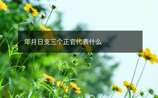 年月日支三個正官代表什么