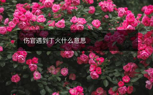 傷官遇到丁火什么意思