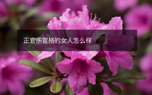 正官傷官格的女人怎么樣