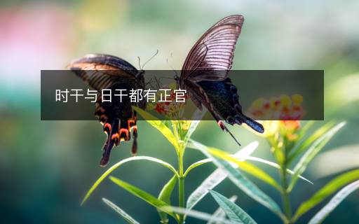時干與日干都有正官
