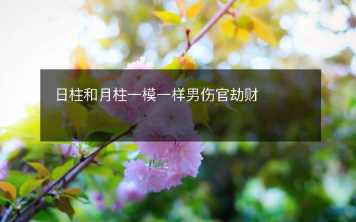 日柱和月柱一模一樣男傷官劫財(cái)