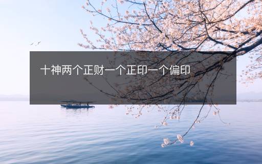 十神兩個正財一個正印一個偏印
