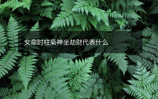 女命時柱梟神坐劫財代表什么